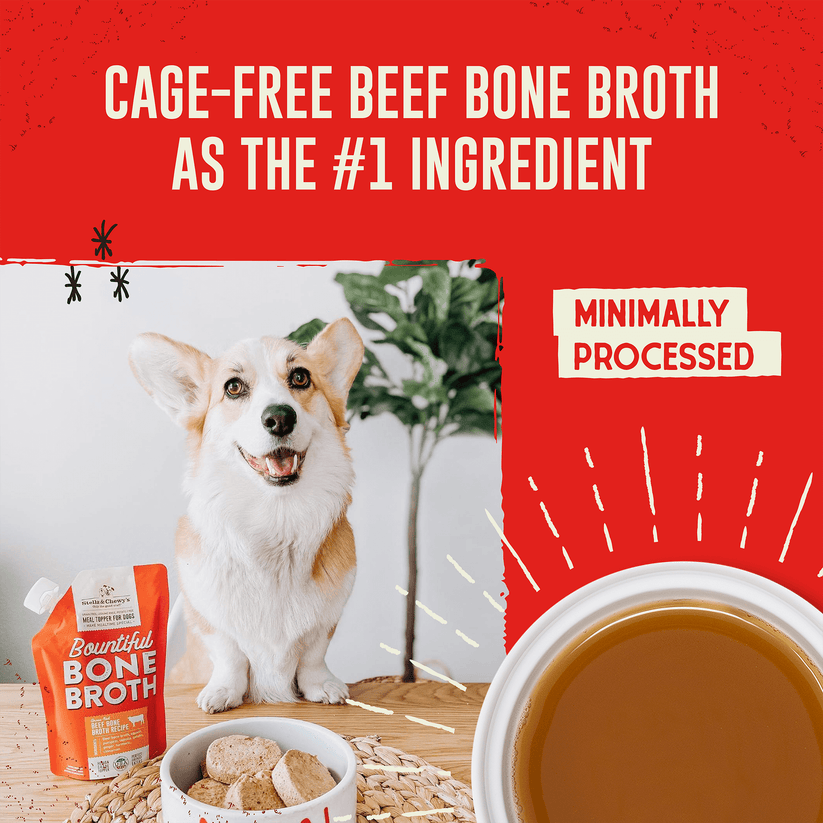 Stella & Chewy's Bountiful Bone Broth Cage Free Chicken Recipe - 16 oz