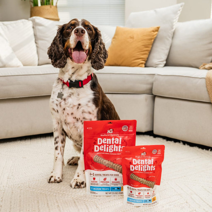 Stella & Chewy's Dental Delights Medium