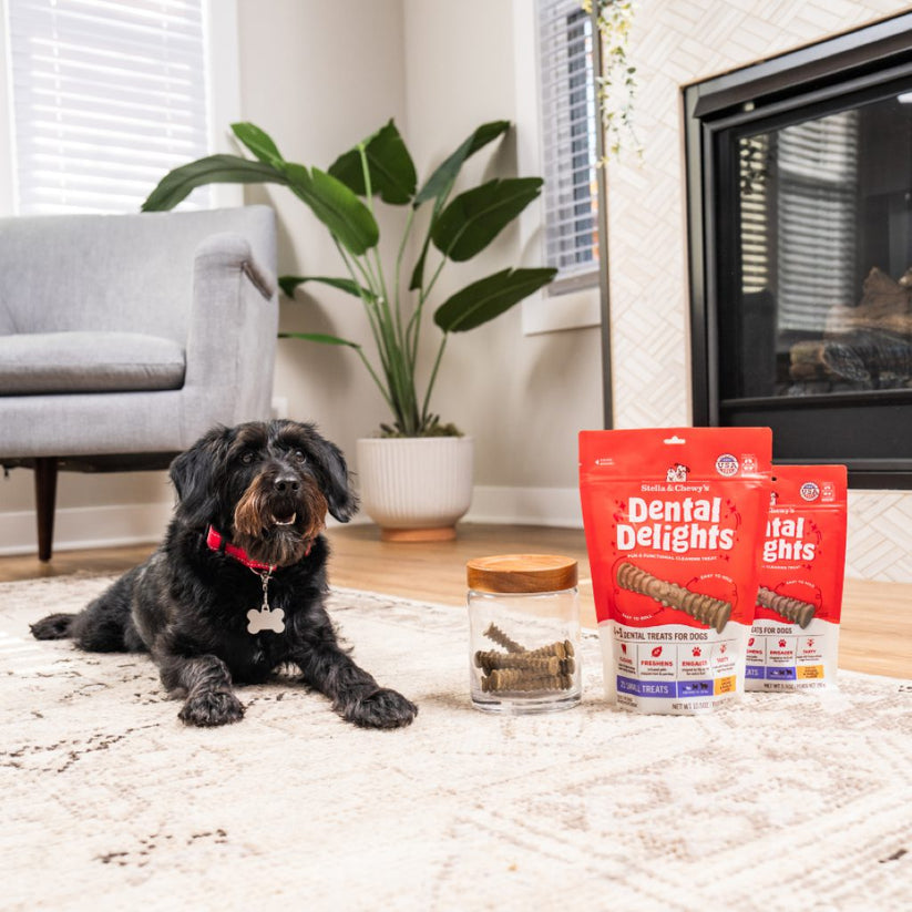 Stella & Chewy's Dental Delights Small