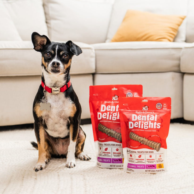 Stella & Chewy's Dental Delights Extra Small 23 ct