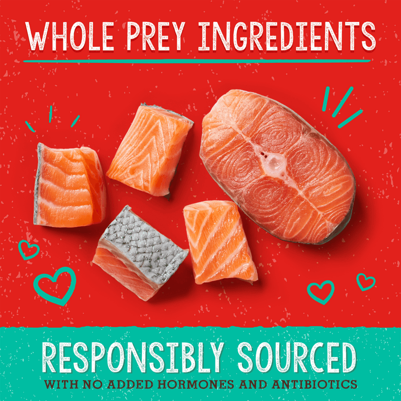 Stella & Chewy's Dog Freeze Dried Savory Salmon & Cod Meal Mixers - 8 oz