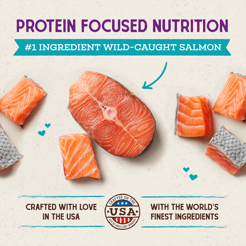 Stella & Chewy's Cat - Raw Coated Kibble Salmon