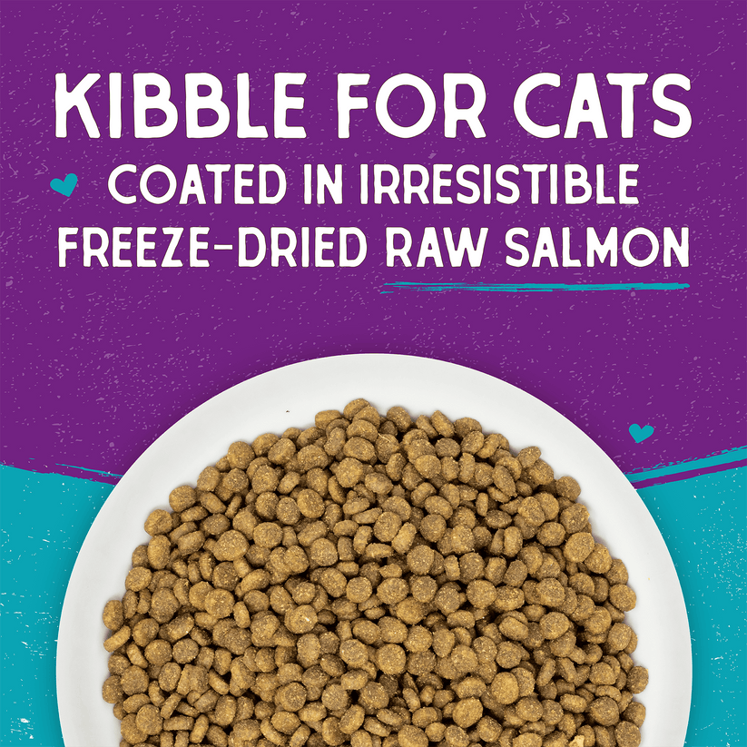 Stella & Chewy's Cat - Raw Coated Kibble Salmon
