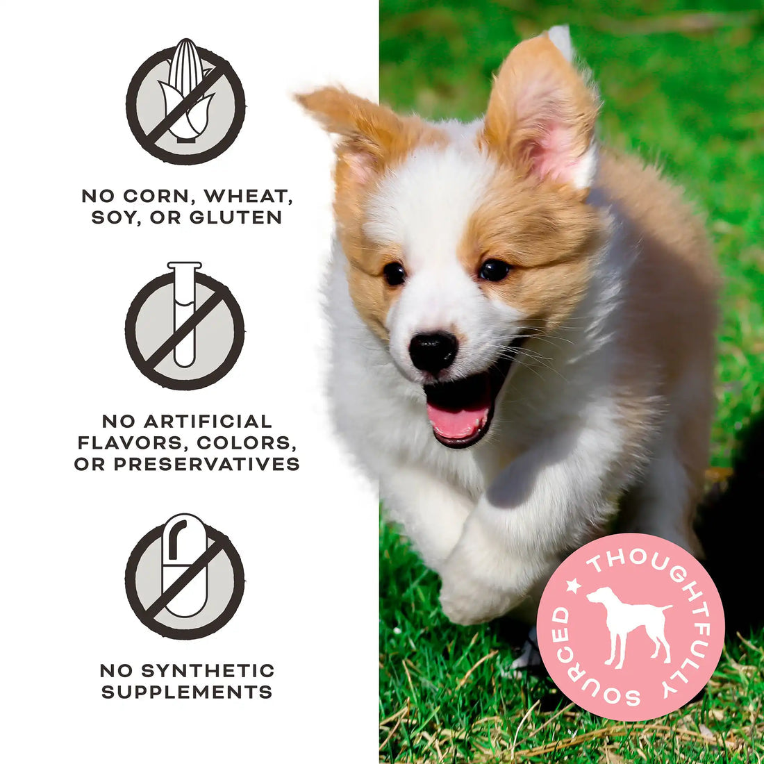 Primal FriendChips Matter Beef with Broth Jerky Treat 4oz