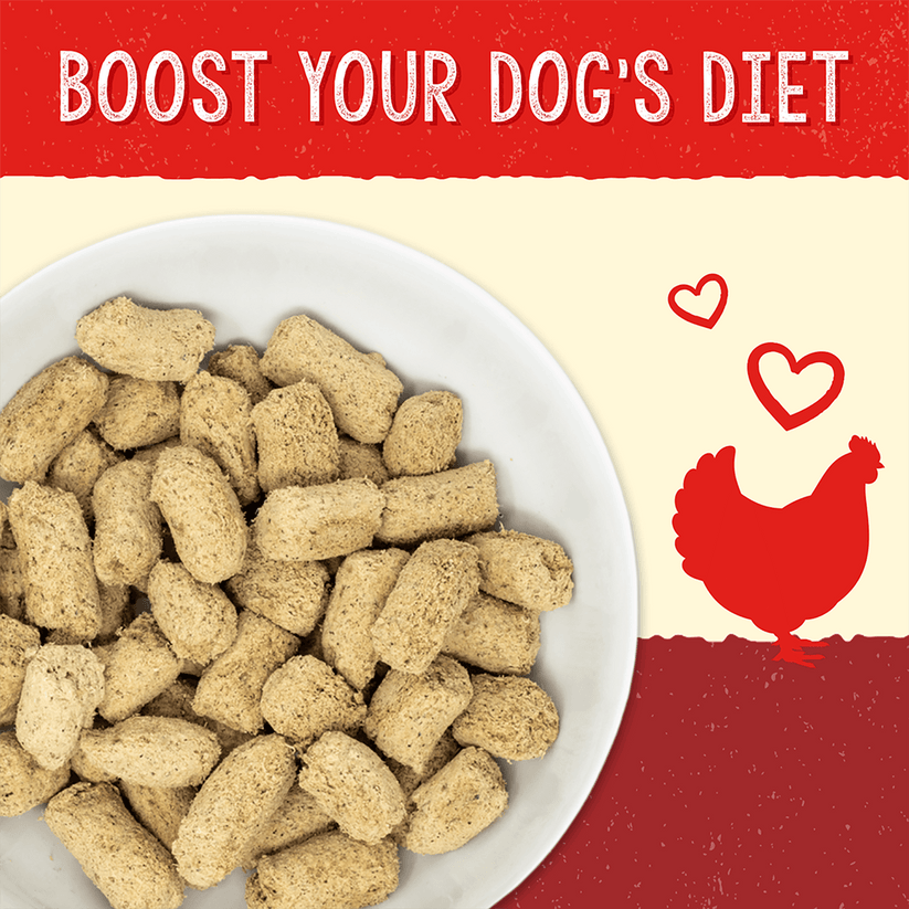 Stella & Chewy's Solutions Freeze-Dried Chicken Healthy Heart Support - 13 oz