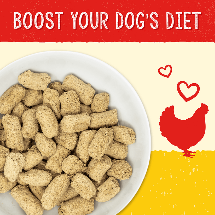 Stella & Chewy's Hip & Joint Boost Cage Free Chicken Recipe 13oz
