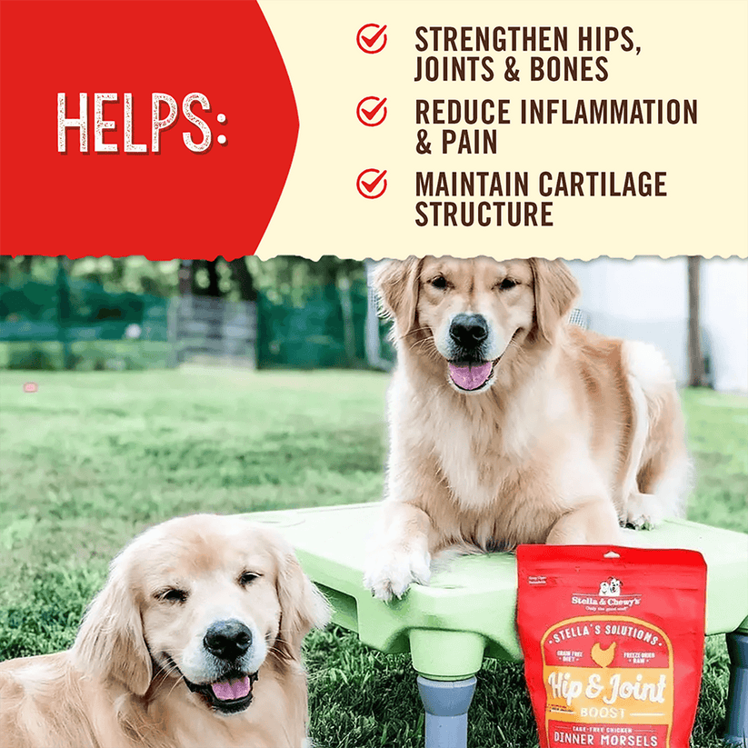 Stella & Chewy's Hip & Joint Boost Cage Free Chicken Recipe 13oz