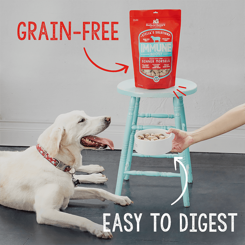Stella & Chewy's Hip & Joint Boost Cage Free Chicken Recipe 13oz