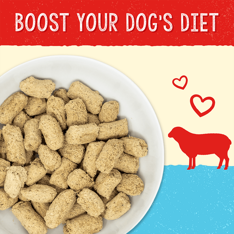 Stella & Chewy's Immune Boost Grass Fed Lamb Recipe 13oz