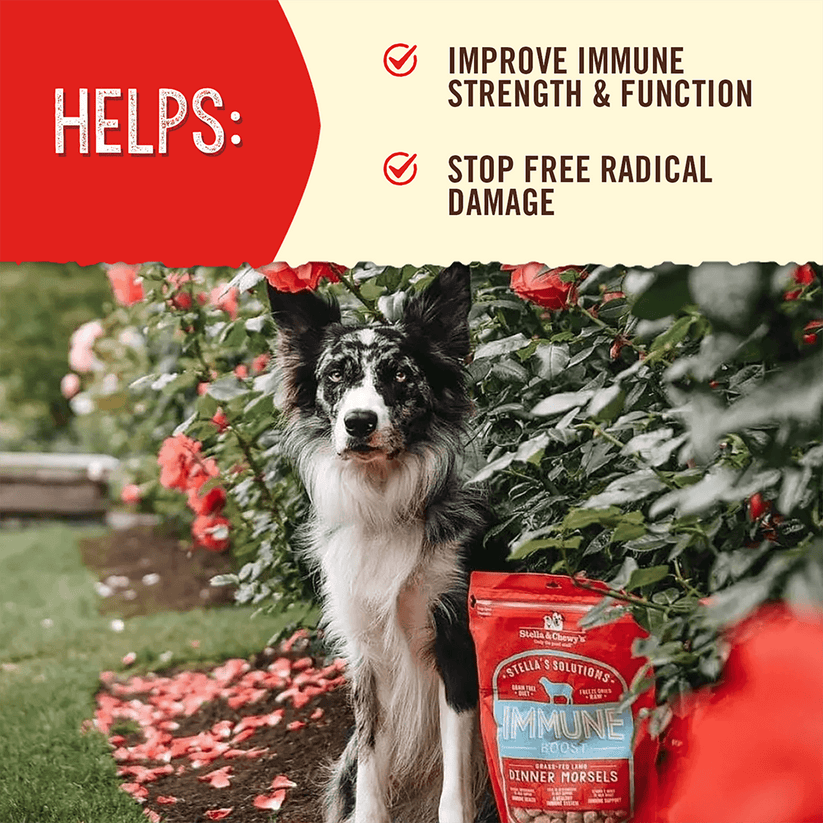 Stella & Chewy's Immune Boost Grass Fed Lamb Recipe 13oz