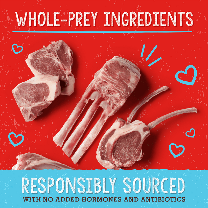 Stella & Chewy's Immune Boost Grass Fed Lamb Recipe 13oz