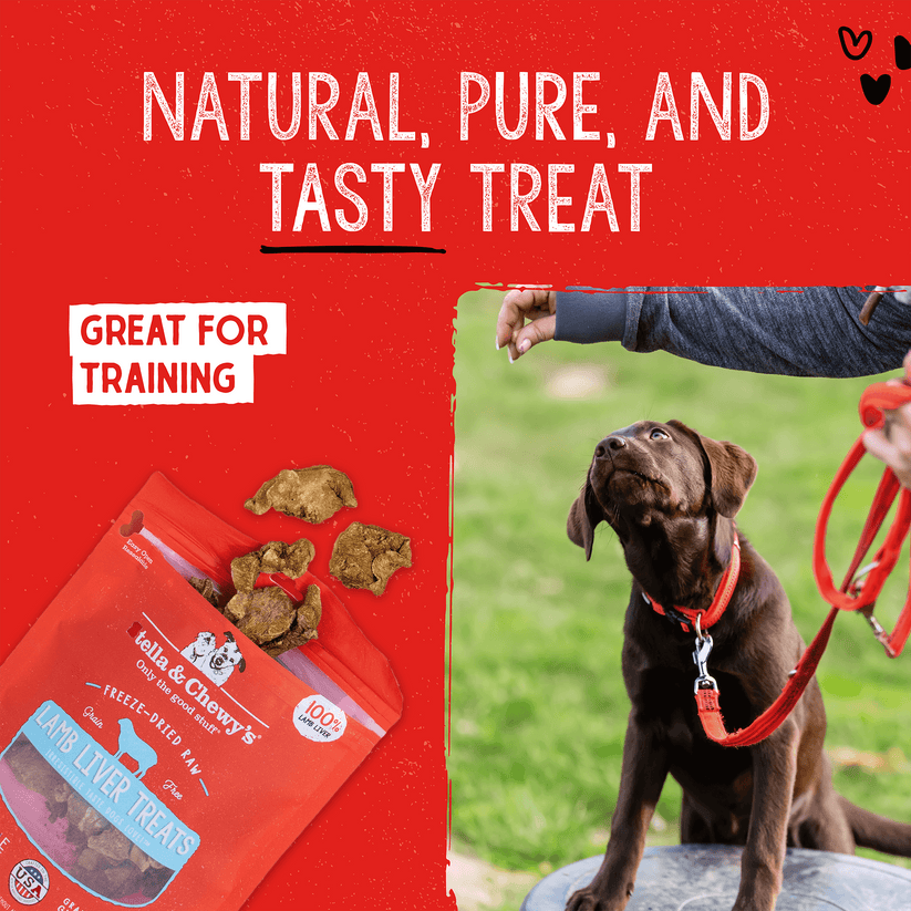 Stella & Chewy's Lamb Liver Treats - 3 oz