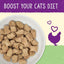 Stella & Chewy's Chicken Recipe Dinner Morsels w/ Digestive Boost 7.5oz