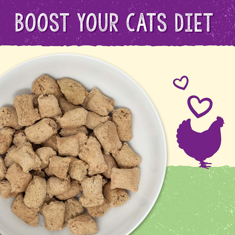 Stella & Chewy's Chicken Recipe Dinner Morsels w/ Digestive Boost 7.5oz