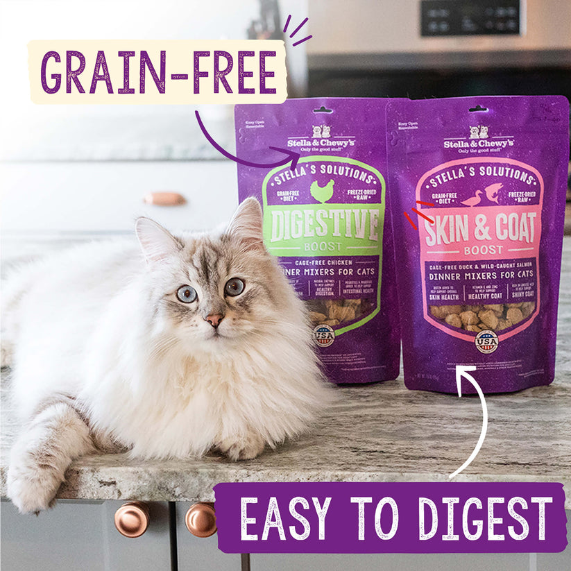 Stella & Chewy's Chicken Recipe Dinner Morsels w/ Digestive Boost 7.5oz