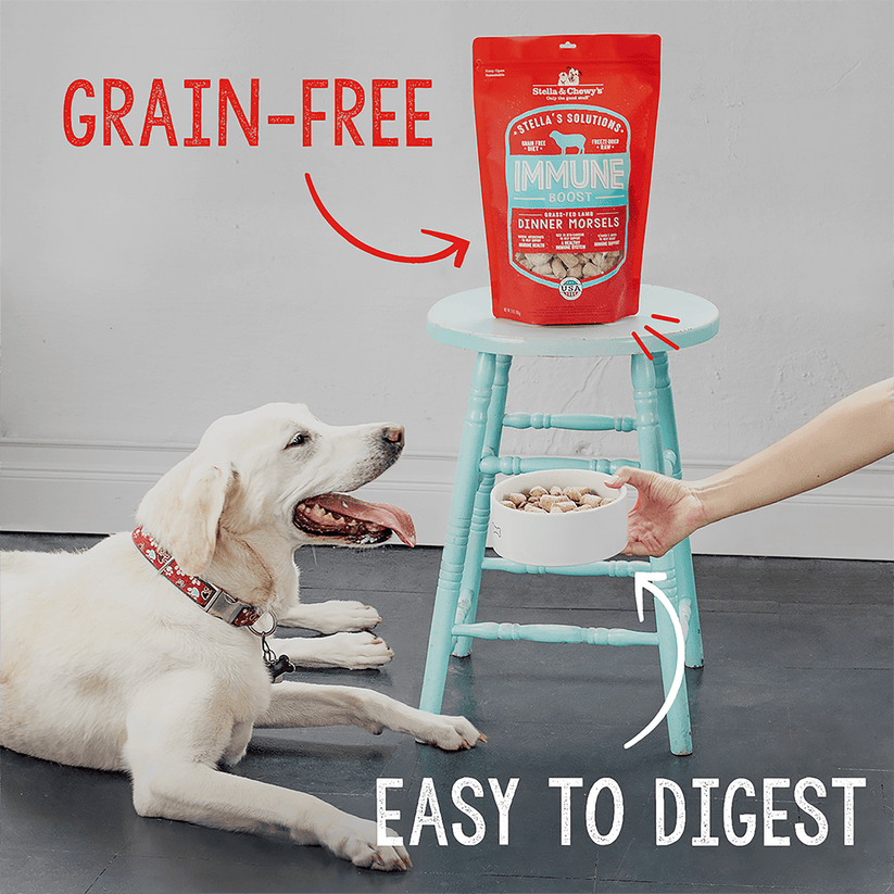 Stella & Chewy's Digestive Boost Grass-Fed Beef Recipe 13 oz